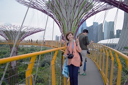 ガーデンズ・バイ・サ・ベイ