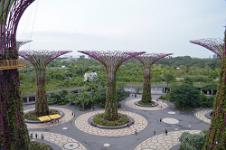 ガーデンズ・バイ・サ・ベイ