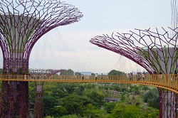 ガーデンズ・バイ・サ・ベイ