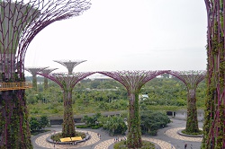 ガーデンズ・バイ・サ・ベイ